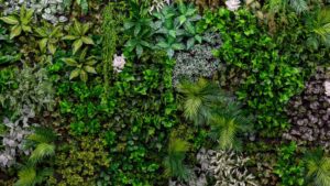 mur végétale artificielle