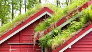 Toiture faite en herbe