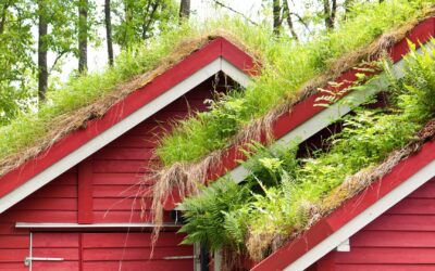 Les avantages de la toiture végétalisée avec les solutions Sika
