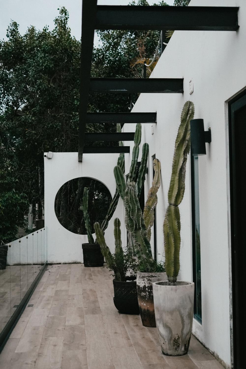 decoration jardin exterieur maison